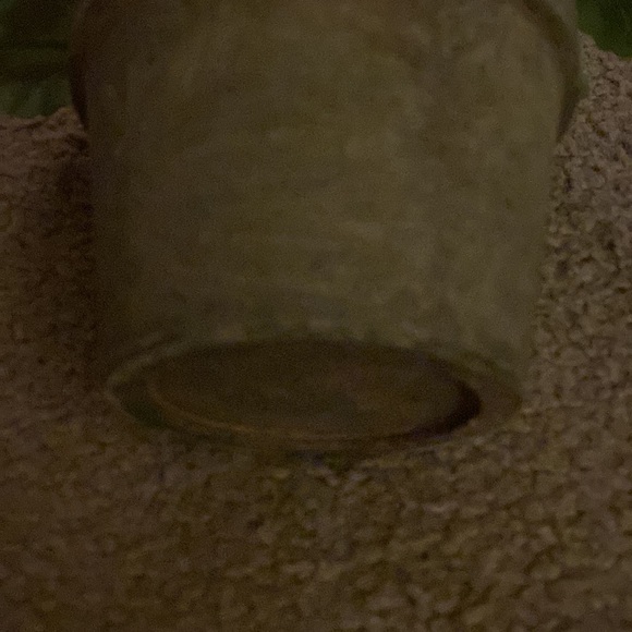 Ragoon House Potted White Geranium - Picture 4 of 4